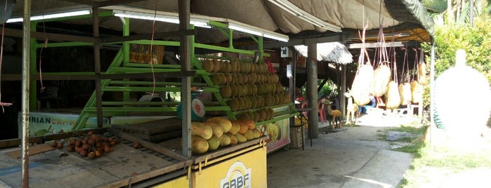 Durian Farm is one of Penang.