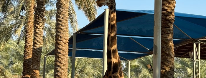 Emirates Park Zoo is one of Ba6aLeE'nin Beğendiği Mekanlar.