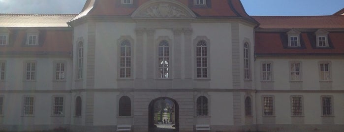 Schloss Fasanerie (Adolphseck) is one of สถานที่ที่ Erik ถูกใจ.