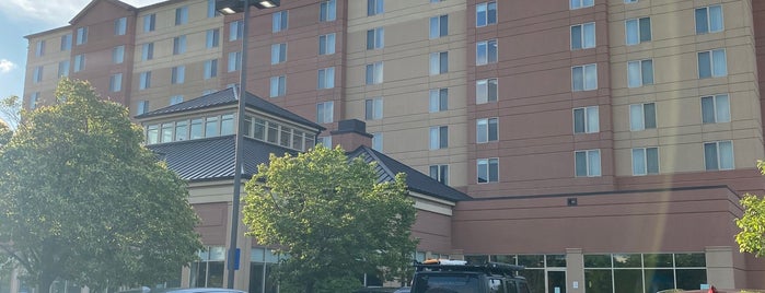Hilton Garden Inn is one of Hotels I've stayed at!.