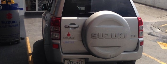 Suzuki Pedregal is one of Mariana : понравившиеся места.