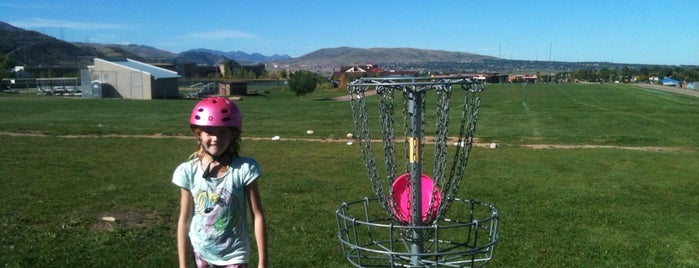 Frisbee Disc Golfn'