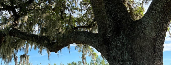 Brazos Bend State Park is one of Parks.