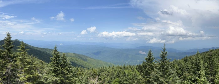 Mount Mitchell State Park is one of North Carolina.