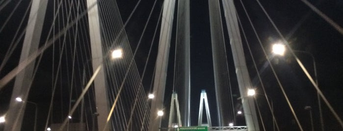 Bolshoy Obukhovsky Bridge (Cable-stayed bridge) is one of Татьяна 님이 좋아한 장소.