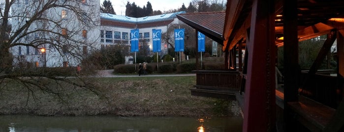 Restaurantcafè in der Alten Mühle is one of Mainhattan.