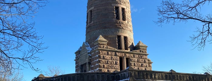 Slottsskogen Water Tower is one of Lookouts in GBG.