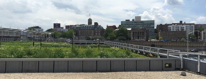 The Living Roof is one of Sites on Staten Island.