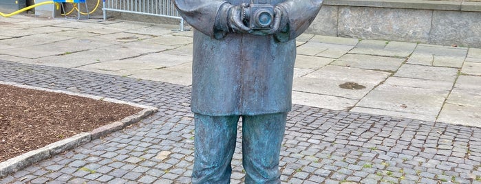 Victor Hasselblad Statue is one of Sights in Gothenburg.