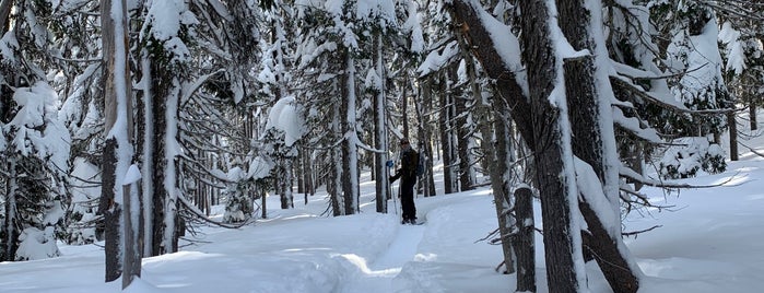 Swampy Lakes Sno Park and Trail Head is one of Best of Bend.