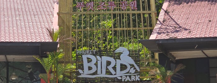 Phuket Bird Park is one of Sightseeings.