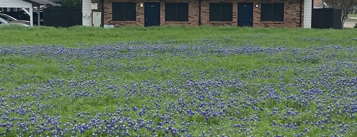 Bluebonnet trail is one of Leisure Biking Paved Trails.