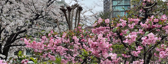 Shimizudani Park is one of Japan.