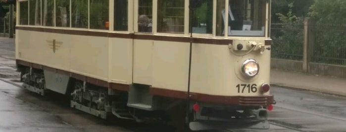 H Prellerstraße is one of Dresden tram stops (N-Z).