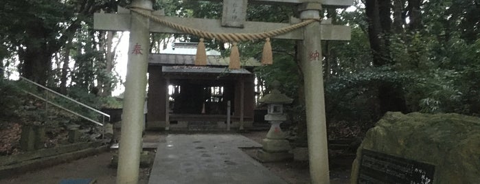 八社大神 is one of 千葉県の行ってみたい神社.