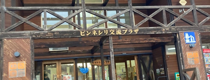 道の駅 ピンネシリ is one of 道の駅の思い出.