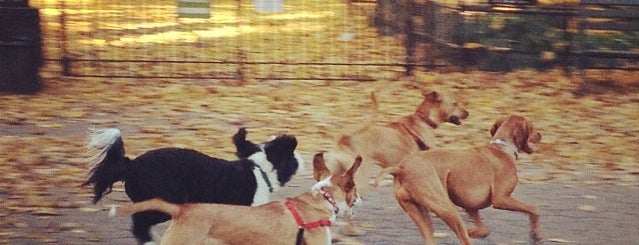 Stuyvesant Square Dog Park is one of east village faves.