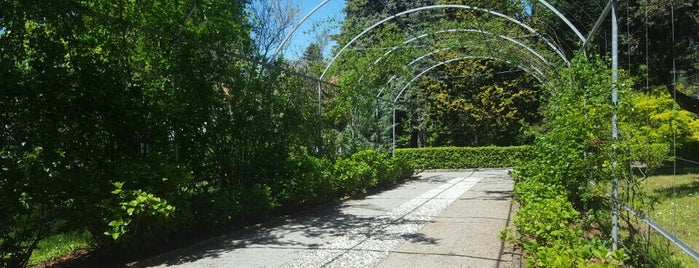 Sežanski botanični park is one of Tempat yang Disukai Aleks.