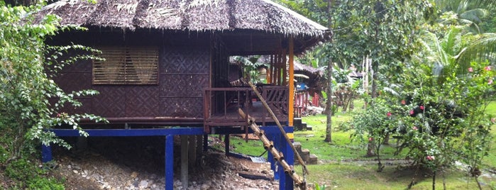 Nuts Huts is one of Philippines - Février 2014.