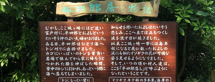 半四郎の落し処 is one of 城ヶ崎海岸.