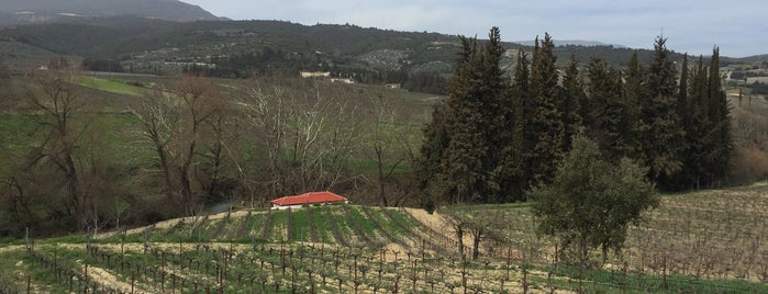 Κτήμα Γκόφα is one of Lieux sauvegardés par mariza.