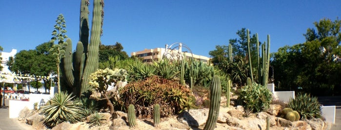 Parque de la Pau is one of Islas Baleares: Ibiza y Formentera.