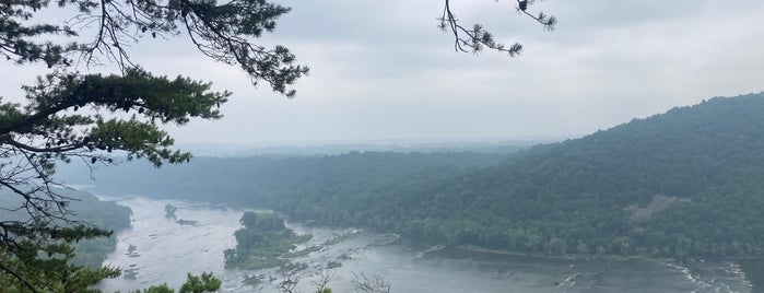 Weverton Cliffs is one of Field trip parks.