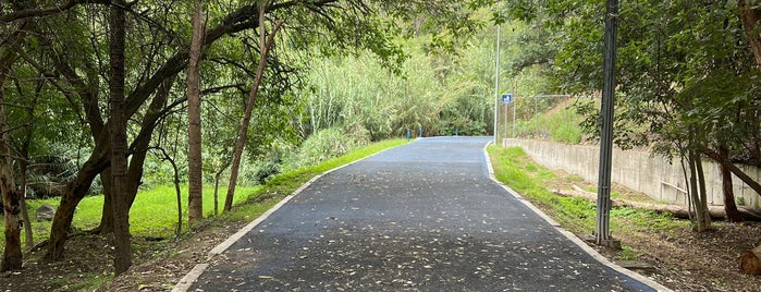 Paseo del Río Atoyac is one of Petfriendly.