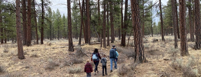 Peterson Ridge Trailhead is one of Running trails.