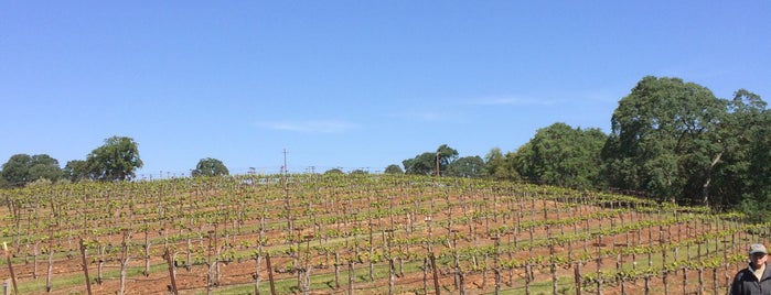 Bray Vineyards is one of Wineries.