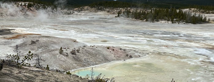 Norris Geyser Basin is one of Yellowstone.