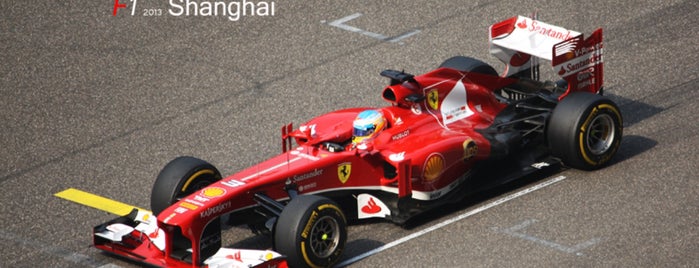 Shanghai International Circuit is one of FIA Formula One™ World Championship Circuits 2013.