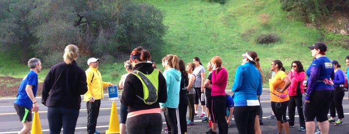 Griffith Park Marathon Training Site is one of Posti che sono piaciuti a Nadim.