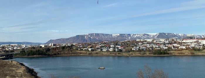 Nings is one of Reykjavik.