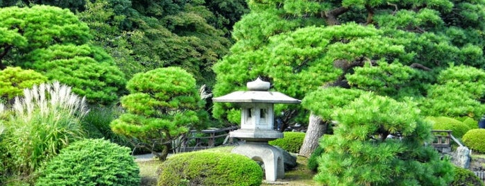 Shinjuku Gyoen is one of Foursquare 9.5+ venues WW.