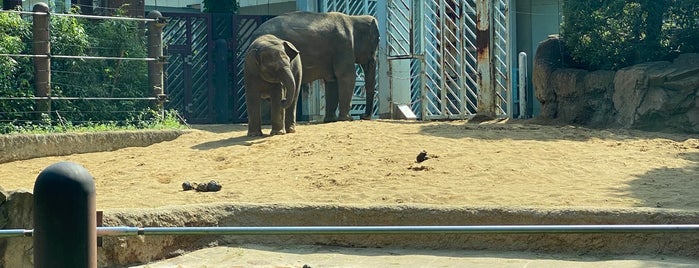 Elephant Forest is one of Maria 님이 좋아한 장소.