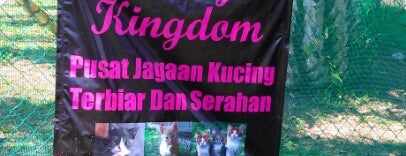 Pusat Jagaan Kucing is one of ꌅꁲꉣꂑꌚꁴꁲ꒒'ın Beğendiği Mekanlar.