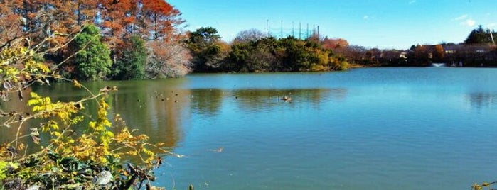 等々力緑地 is one of 武蔵小杉周辺の公園.