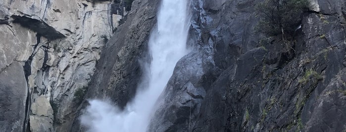 Bridalveil Falls is one of Murielleさんのお気に入りスポット.