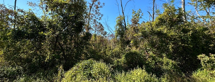 Jones Point Park is one of Alexandria VA.