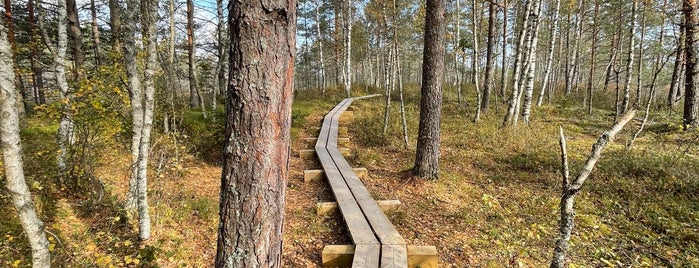 Jalase matkarada is one of Camping and Hiking in Estonia.