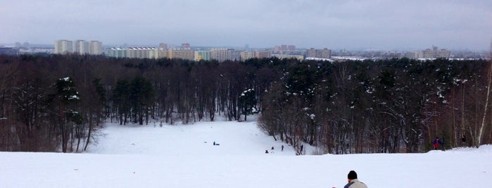 Vanaka mägi is one of Great Outdoors in Tallinn.