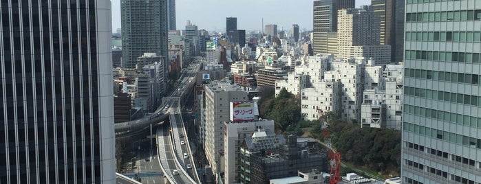 ANA InterContinental Tokyo is one of @Ethos68の行ったホテル.