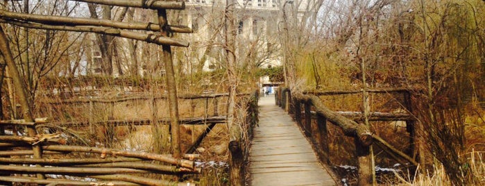 Parcul Operei is one of bucharest.