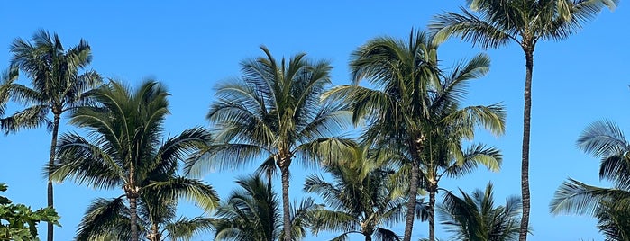 Hilton Waikoloa Village Resort is one of Kona, HI.
