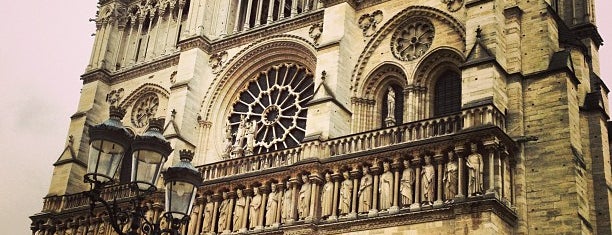 Parvis Notre-Dame — Place Jean-Paul II is one of TLC - Paris - to-do list.