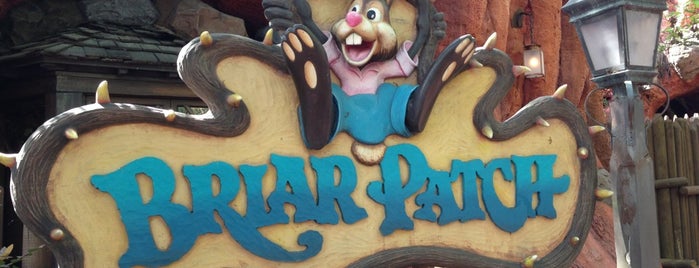 Briar Patch is one of Lindsayeさんのお気に入りスポット.