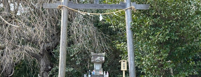比々多神社 元宮 is one of 神奈川西部の神社.