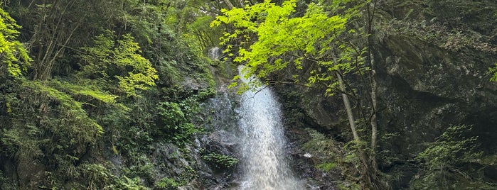 Hossawa Falls is one of 高尾 八王子 奥多摩.