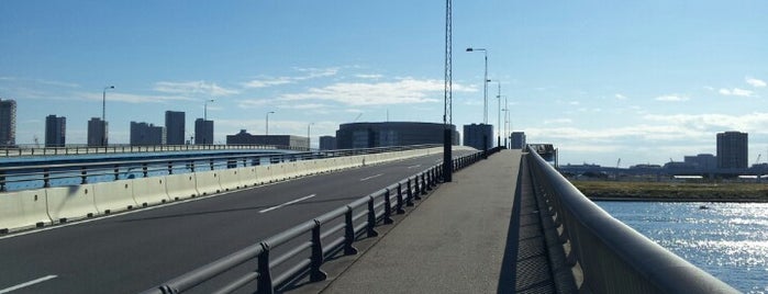 Harumi-ohashi Bridge is one of Lugares favoritos de モリチャン.